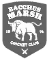 A Proud Sponsor of Bacchus Marsh Dental House 1